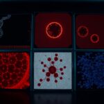 6 Critical Signals That Your Body Is Losing Repair Capacity